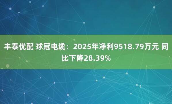 丰泰优配 球冠电缆：2025年净利9518.79万元 同比下降28.39%