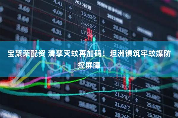 宝聚荣配资 清孳灭蚊再加码！坦洲镇筑牢蚊媒防控屏障