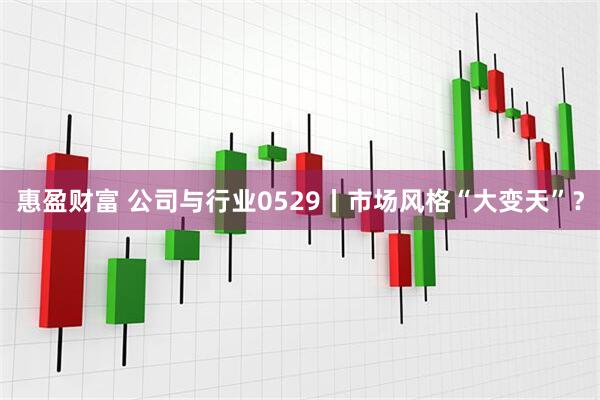 惠盈财富 公司与行业0529丨市场风格“大变天”？