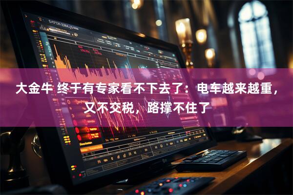 大金牛 终于有专家看不下去了：电车越来越重，又不交税，路撑不住了