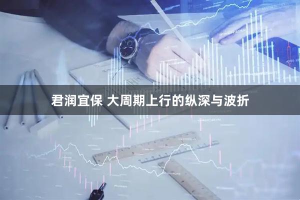 君润宜保 大周期上行的纵深与波折