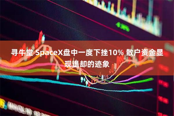 寻牛堂 SpaceX盘中一度下挫10% 散户资金显现退却的迹象