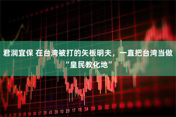 君润宜保 在台湾被打的矢板明夫，一直把台湾当做“皇民教化地”
